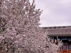 -恭王府博物馆