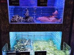 -徐记海鲜(曲江南湖店)