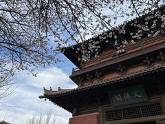 -善化寺