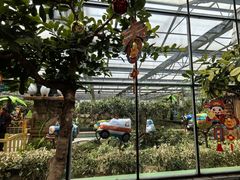 -南宫五洲植物乐园