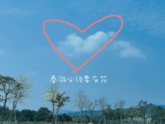 -天适樱花悠乐园