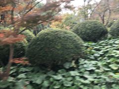 -兰溪青年公园