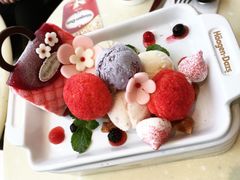 -哈根达斯(石家庄北国店)