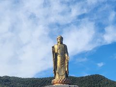 -中原大佛景区