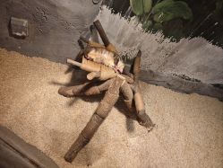 -Zoolung Zoolung动物主题公园(海信广场店)