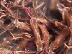 鸭舌-狗撵鸭(泰山公寓店)