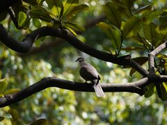 -苏州河梦清园环保主题公园