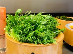 -龍歌自助小火锅(李沧丽达店)