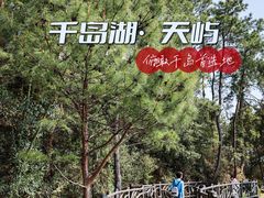 -千岛湖天屿景区