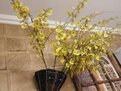 -92°C俄式厨房(中央大街店)