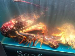 -同乐酒楼(皇后镇店)