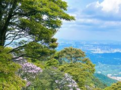 -梧桐山风景名胜区