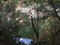 -花岩国家森林公园