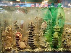 -Isla Sugbu Seafood City