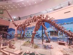 -陕西自然博物馆