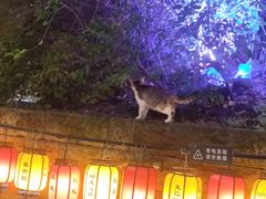 -重庆十八梯传统风貌区