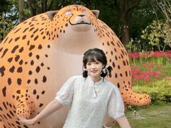 -金鸡湖桃花岛