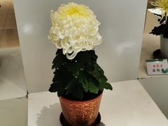 -汇龙潭