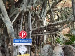 -龙达温泉生态城