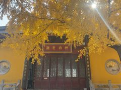 -上海青龙寺