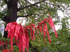 -金堂县云顶石城风景区
