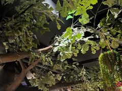 -城墙拐拐火锅(三峡广场黑金冠店)