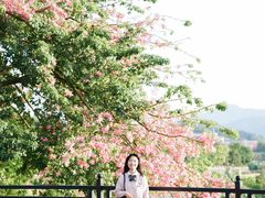 -风云岭森林公园