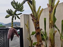 -杭州西湖风景名胜区-满觉陇四眼井