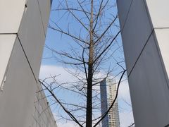 -长沙滨江文化园