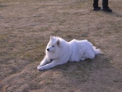 -南湖国家城市湿地公园