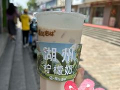 柠檬奶-猫的魔法密林(衣裳街店)