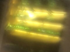 -小厨娘淮扬菜(清江苏宁广场店)