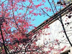 -乌山风景区