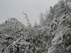 -秦岭终南山世界地质公园翠华山景区