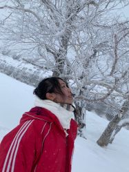 -大秃顶子山