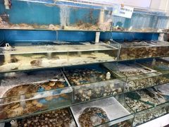 -仙螺岛海鲜自助餐厅(总店)