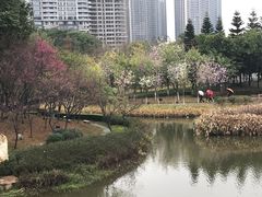 -映月湖公园