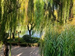 -鹊华居·地道鲁菜·海鲜·融合味(大明湖店)