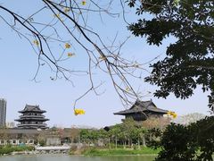 -海珠湖公园