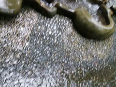 -成都市活水公园