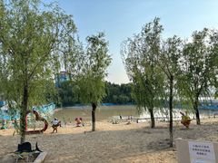 -青龙湖公园