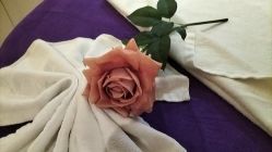 -蕾蕾美颜美容美体