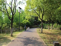 -艾溪湖湿地公园