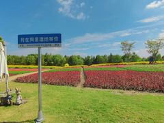 -同里国家湿地公园