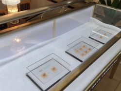 -新生植发·植养护一体