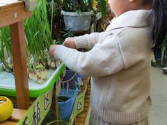 -井德幼儿园(泰达园)