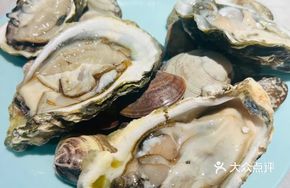 Free Oyster