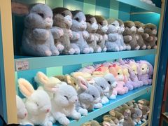 -海合安青岛极地海洋公园
