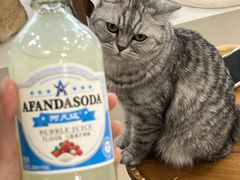 -共舞时光猫咖·狗咖(新街口店)
