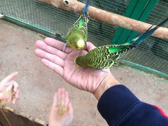 -杭州开元森泊度假乐园